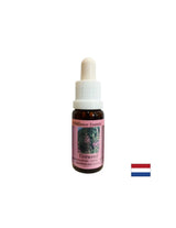 Pomáha rozptýliť negatívne spomienky - vŕba s úzkym listom Essence, klesne 15 ml