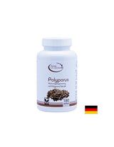 Imunita - dáždnik polyporus, 420 mg x 180 kapsúl