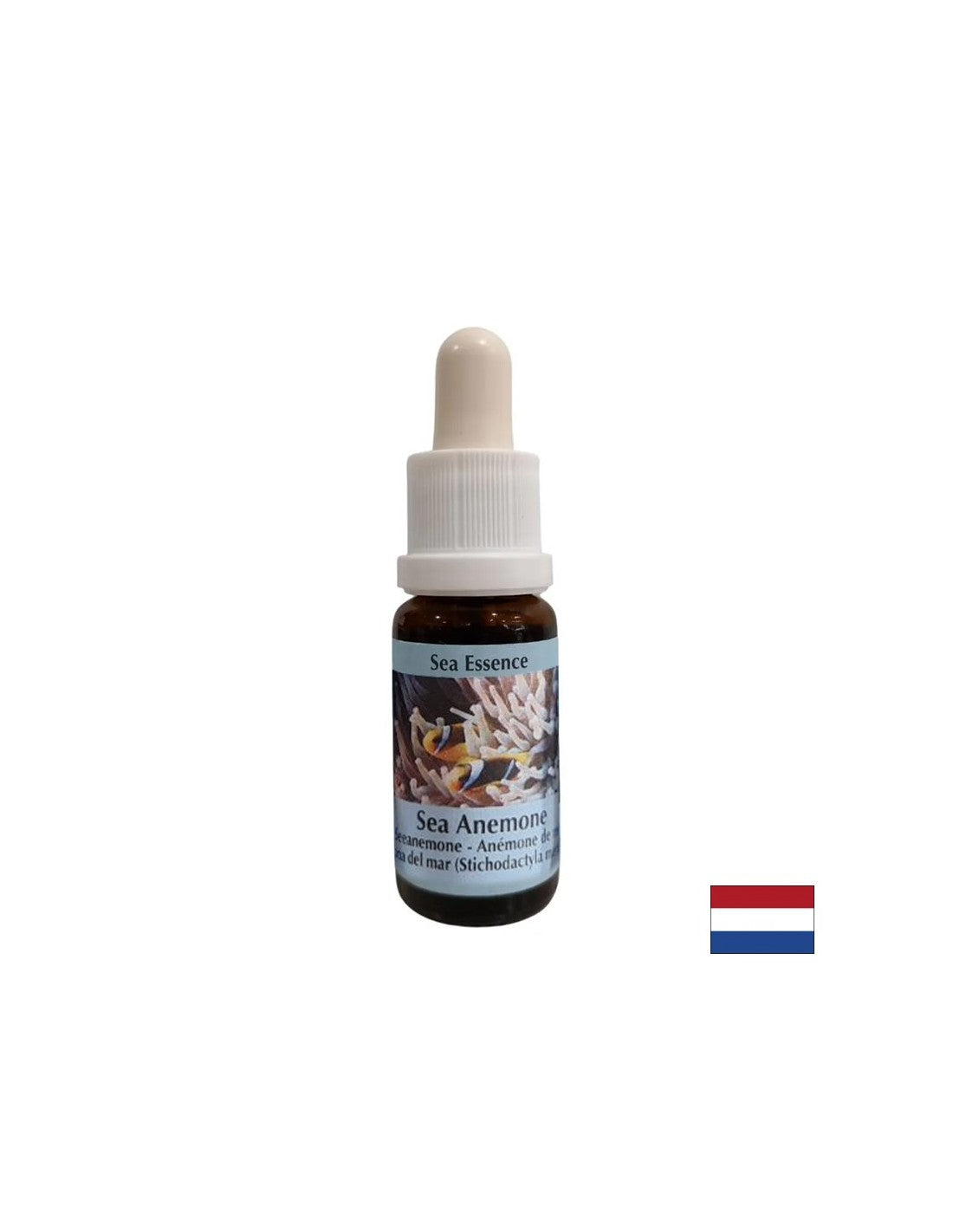Posilňuje súdržnosť a čistotu pri výbere partnera - Essence Anemone Essence č. 6, klesne 15 ml