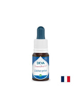 Relaxácia, kvetinové esencie, metóda Bach klesá č. 7, 15 ml