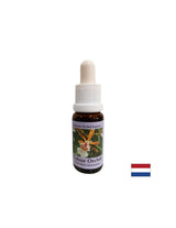 Stimuluje pozitívny prístup k životu - farebná orchidea č. 7, klesá 15 ml