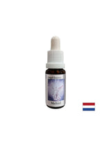 Za nájdenie správnych slov - Essence Mechiel (Angel Essence č. 16), klesne 15 ml