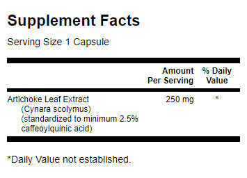 Artichoke 250 mg - 60 kapsúl