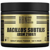 Bacillus subtilis 60 kaplet
