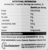 Brainberry | Amplify Series - 25 kapsúl
