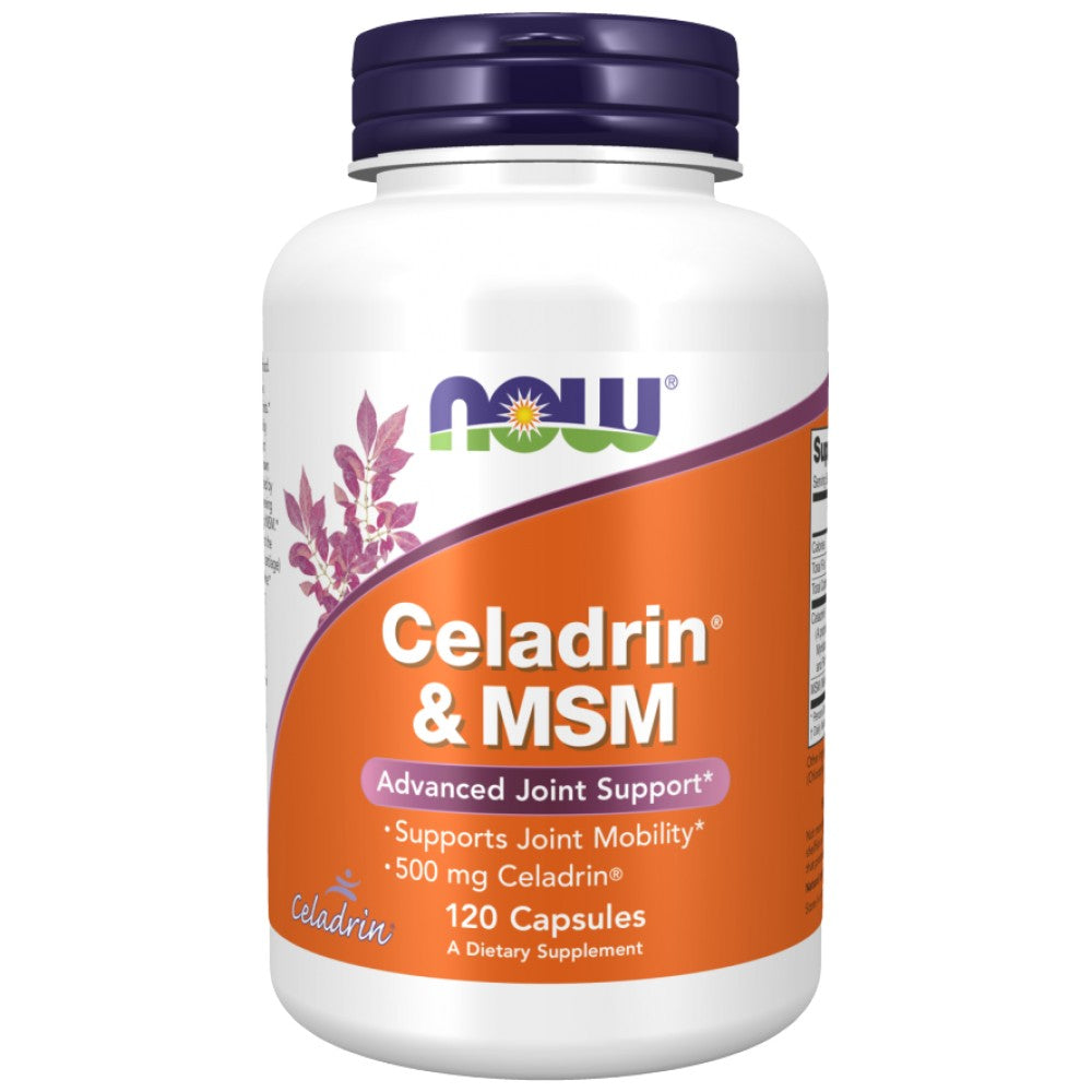 Celadrin a MSM 500 mg - 120 kapsúl