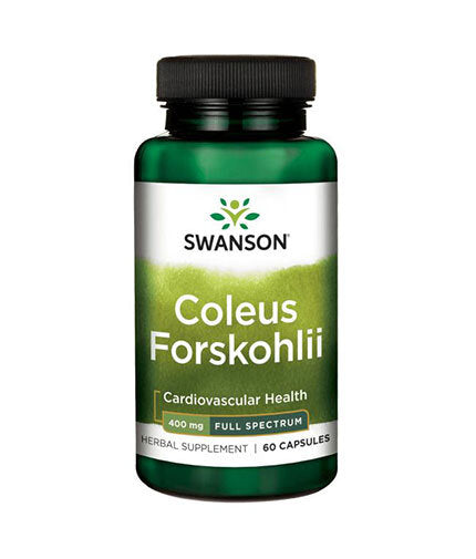 Coleus forskohlii / Forskolin 400 mg - 60 kapsúl
