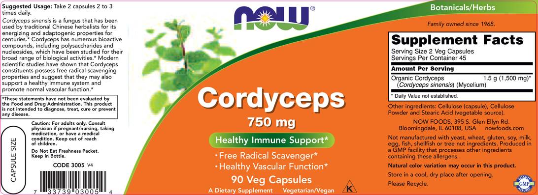 Cordyceps 750 mg - 90 kapsúl