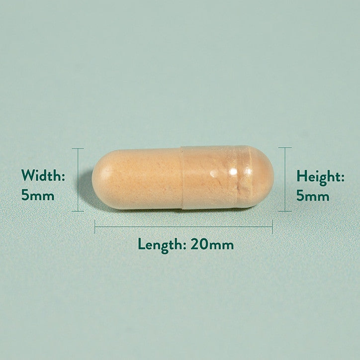 Extrakt z bodliaceho mlieka (bodliak mlieka) 60 kapsuly Holland & Barrett
