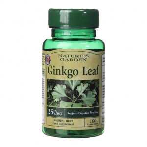 Ginkgo Biloba 250 mg 120 tabliet Holland & Barrett