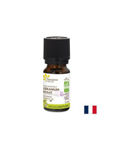 Éterický olej z geranium, Bio, 5 ml