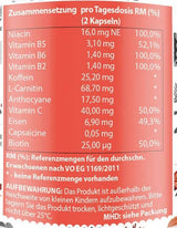Energy Booster s vitamínmi a kofeínom - 60 kapsúl