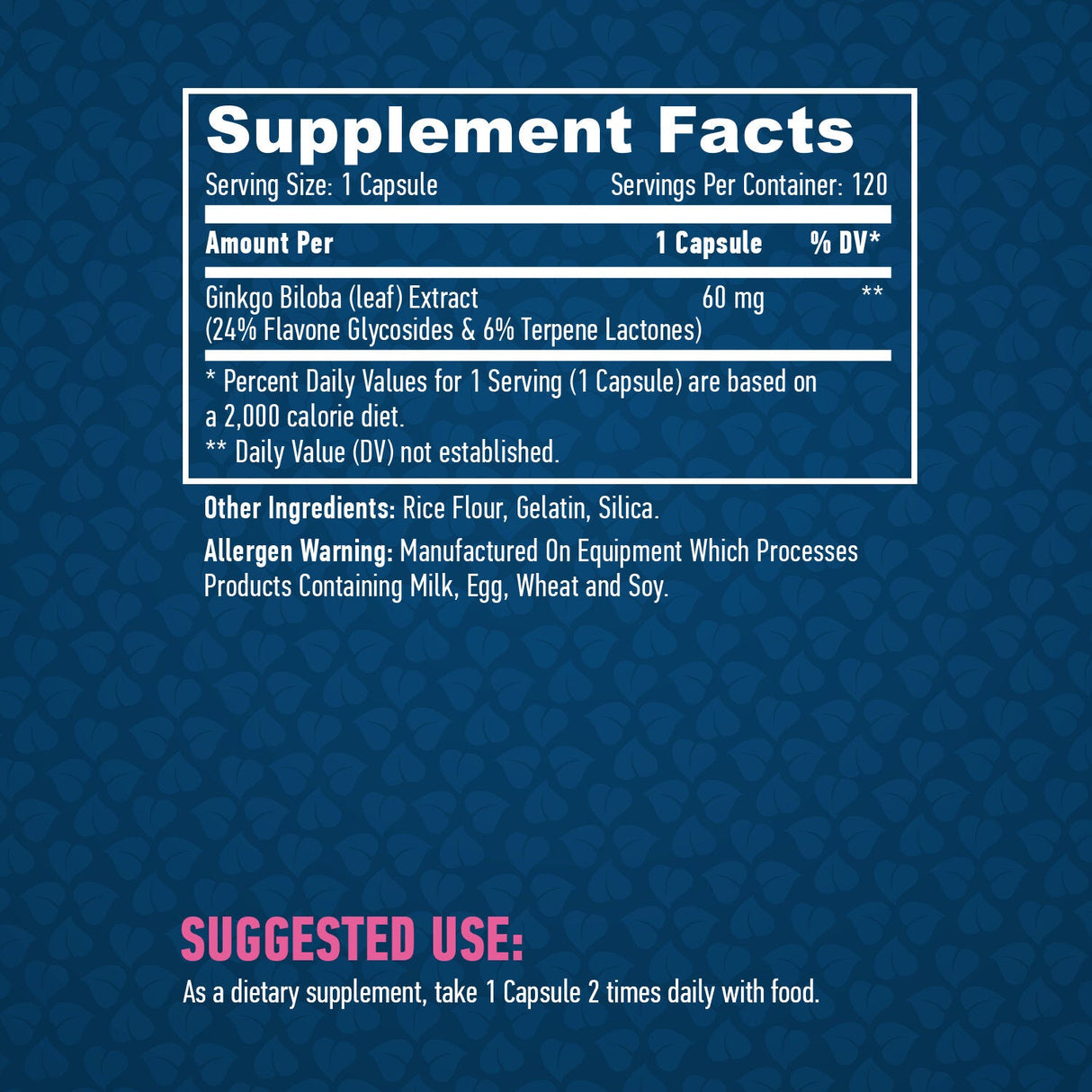 Ginkgo Biloba 60 mg. / 120 uzáverov.