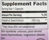Semeno grapefruitu 250 mg - 60 kapsúl