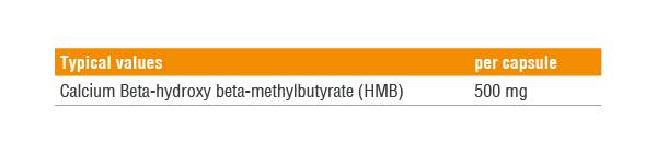 Kapsuly HMB 90