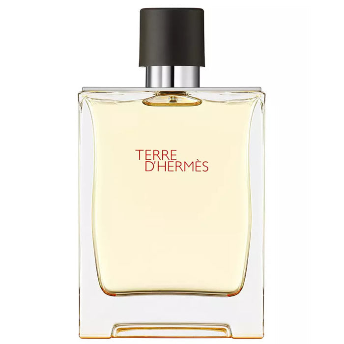 Hermes Terre D'Hermes Eau de toaletný sprej 200 ml