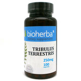 Tribulus Terrestris 250 mg - 100 kapsúl
