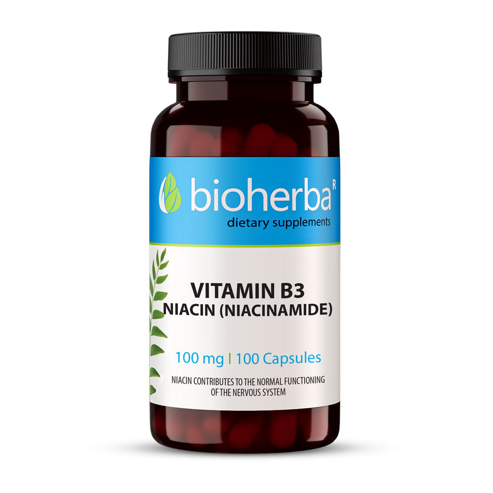 Vitamín B3 | Niacín 100 mg - 100 kapsúl