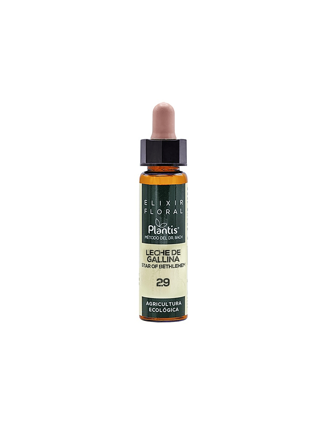 Leche de gallina (Betlehemská hviezda) Elixír Floral 29 - Kvetinový elixír z Betlehemskej hviezdy, 10 ml Arte<tc>san</tc>oi