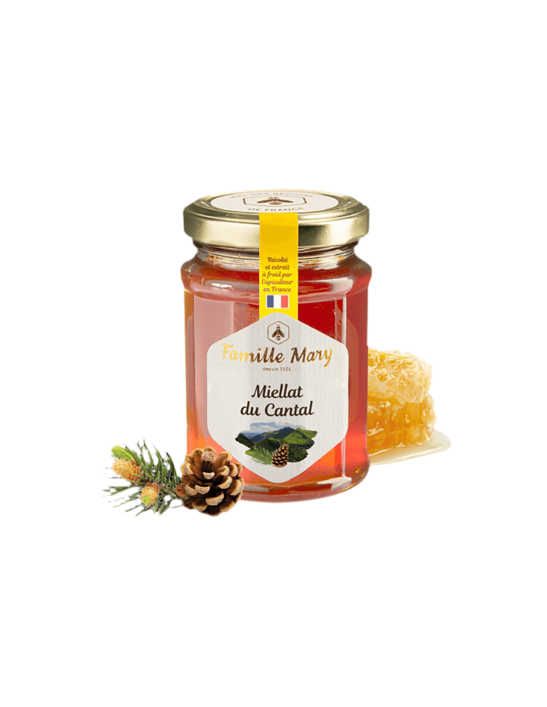 Miellat du cantal / Bee Honey (medovina) z ihiel Pine, 230 G Famille Mary