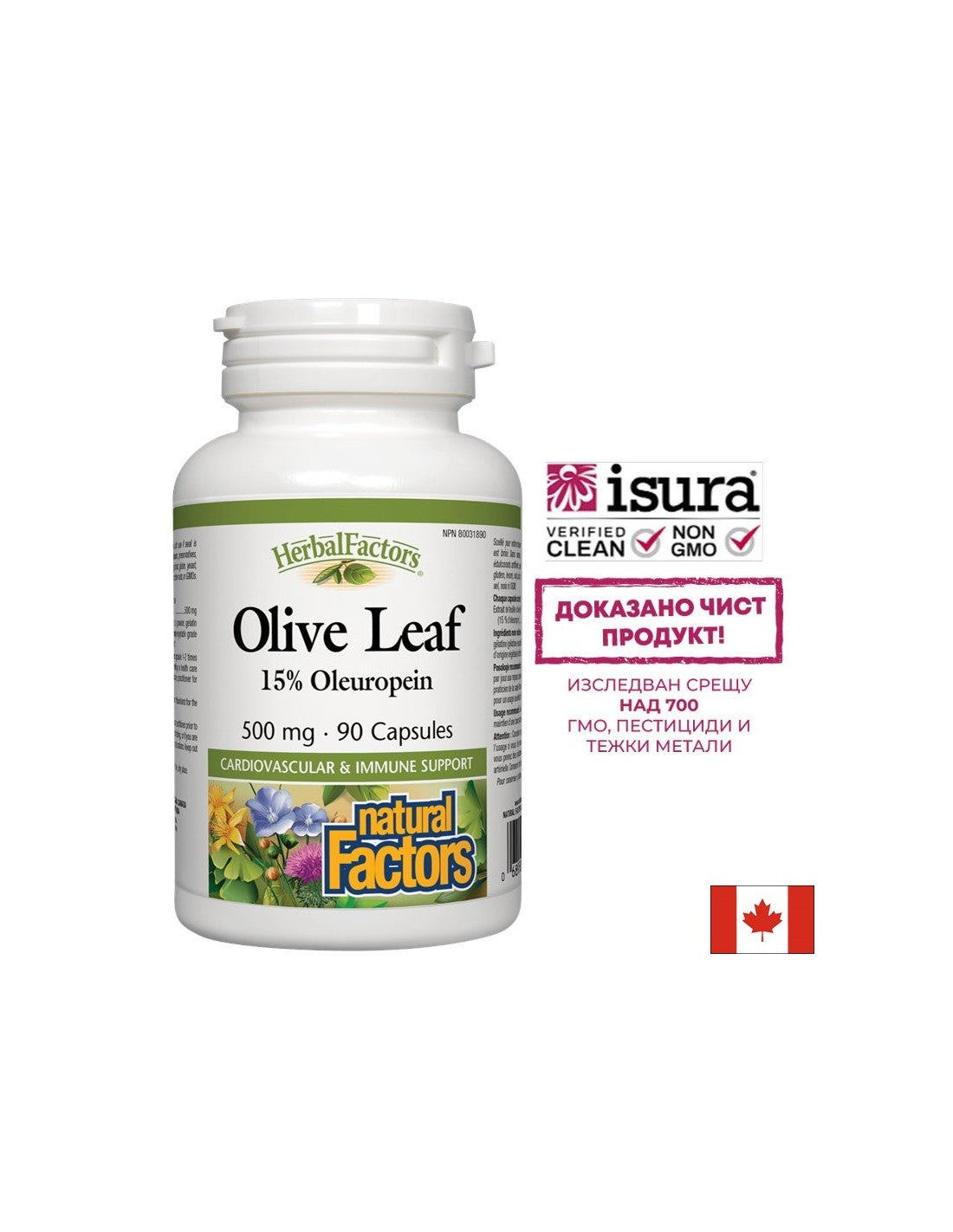 Olivový list 500 mg - 90 kapsúl