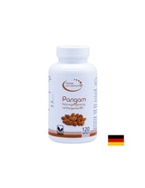 Pangam Nahrungsegänzung MIT Pangamat B15 - Pangam (vitamín B15), 120 kapsúl el compra