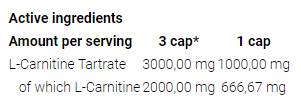 L -karnitín 3000 čiapky - 120 kapsúl
