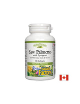 Palmetto s lykopénom - 90 gélových kapsúl