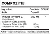 Tribul 250 mg | Extrakt Tribulus Terrestris - 60 kapsúl