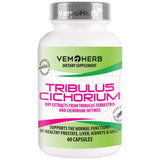 Tribulus Cichorium - 60 kapsúl