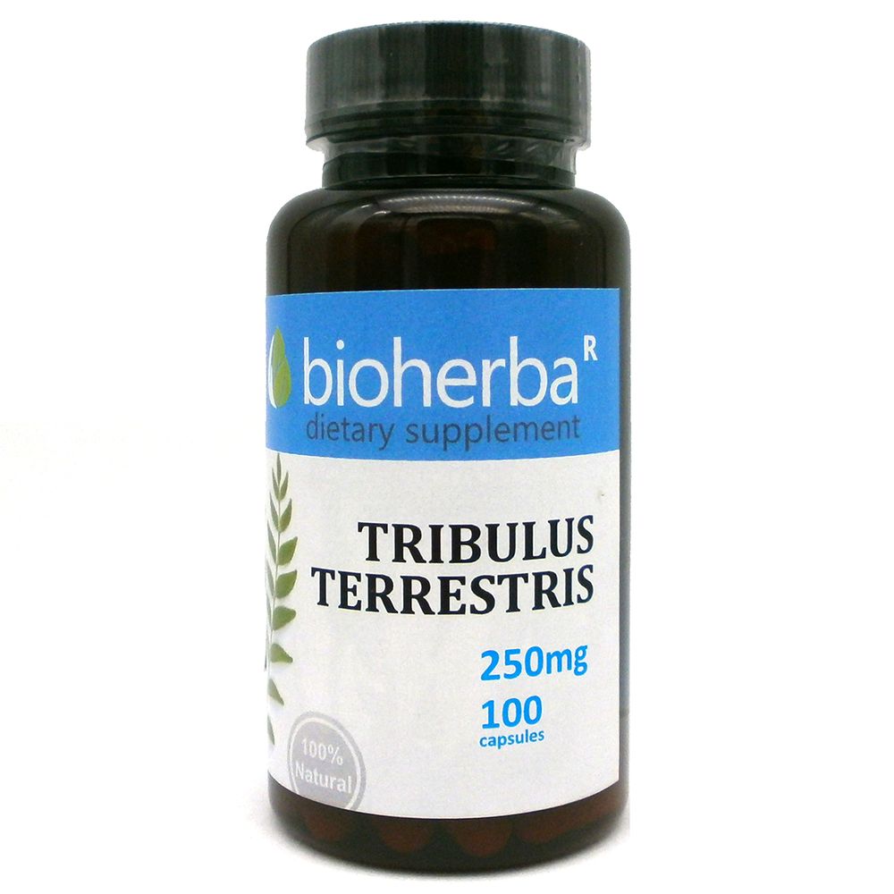 Tribulus Terrestris 250 mg - 100 kapsúl