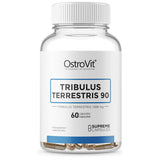 Tribulus Terrestris 90 60 tablety
