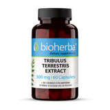 Tribulus Terrestris extrakt 300 mg - 60 kapsúl