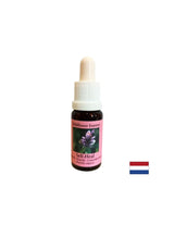 Aktivuje odvahu a samoliečanie - Essence PRrishnitsa č. 25, klesne 15 ml