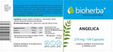 Angelica 270 mg - 100 kapsúl