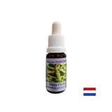 Približuje ľuďom bližšie k energii prírody - Essence Orchid Deva č. 9, klesá 15 ml