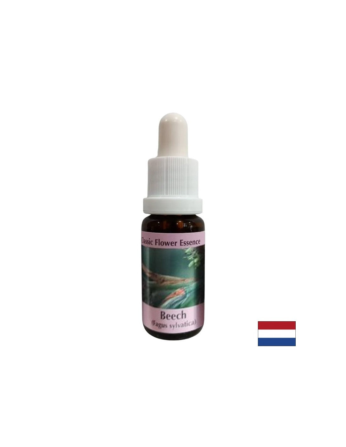 Pre rozvoj tolerancie a veľkorysosti - buk Essence č. 3, klesne 15 ml