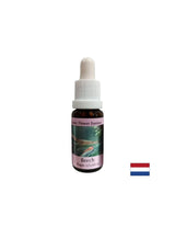Pre rozvoj tolerancie a veľkorysosti - buk Essence č. 3, klesne 15 ml