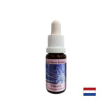 Zamerať sa na seba - Čakanina Essence č. 8, klesne 15 ml