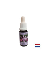 Rozumie cyklu hojnosti a túžby dať - Cattleya Essence č. 10, klesne 15 ml