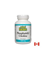 Fosfatidylcholín 420 mg - 90 softgélov