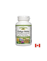 Ginkgo Biloba 60 mg - 120 kapsúl
