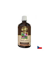Imunita - echinacea, 100 ml tinktúry