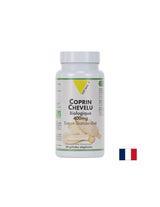 Kontrola cukru v krvi - extrakt z húb Koprinky, organické, kapsuly 400 mg x 60