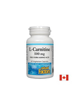 L -karnitín 500 mg - 60 kapsúl