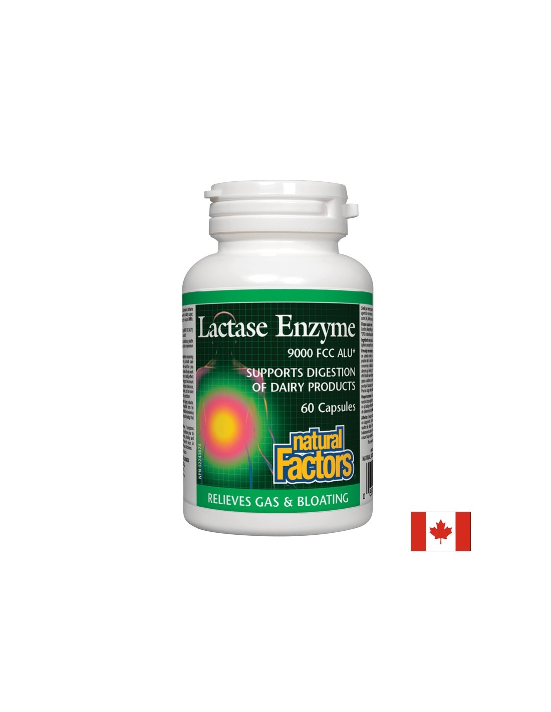 Laktázový enzým 250 mg - 60 kapsúl