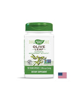 Olivový list 500 mg - 100 kapsúl
