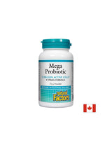 Mega probiotic 12 miliárd aktívnych probiotík - prášok - 75 gramov