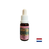 Zbavuje strach a stimuluje dôveru - St. John's Wort Essence č. 28, klesne 15 ml