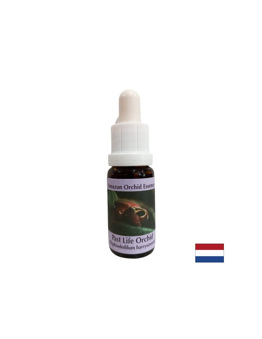 Uvedomenie si prítomnosti prostredníctvom lekcií minulosti - Orchid Essence Minulý život č. 16, klesne 15 ml